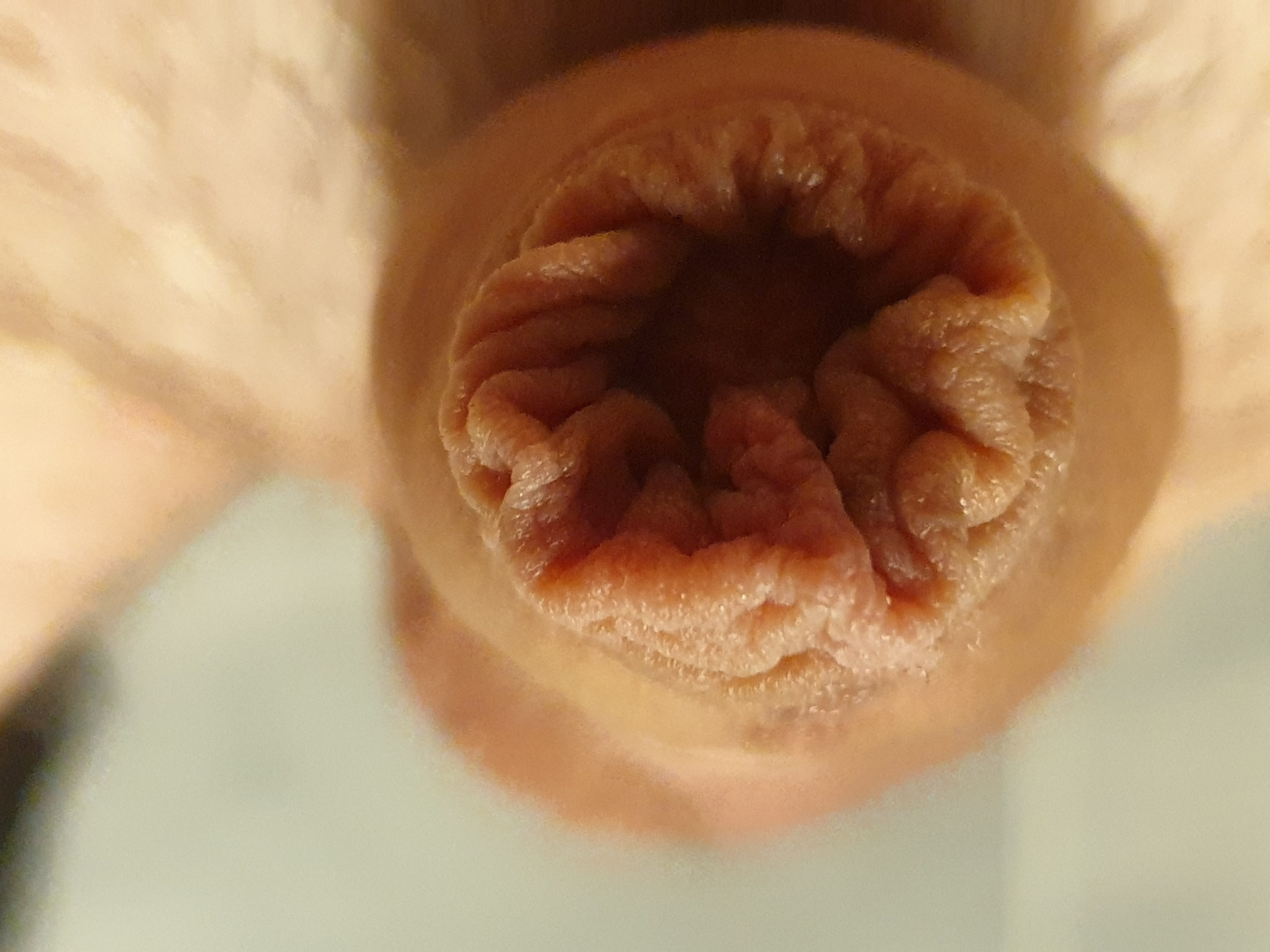 just me and my cock